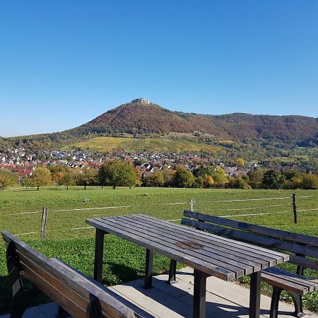 Ferien In Neuffen - Ferienwohnung Plaue المظهر الخارجي الصورة