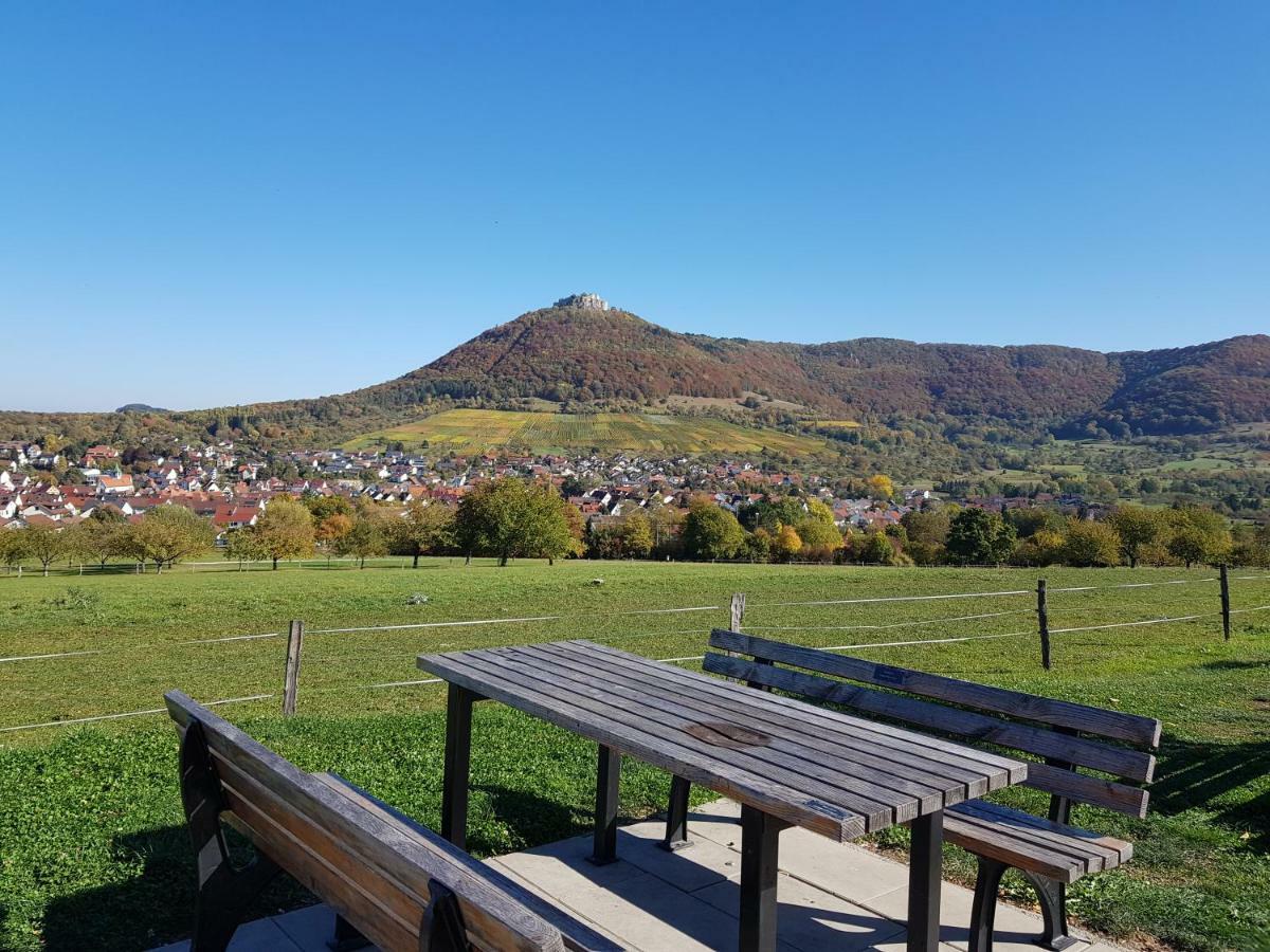 Ferien In Neuffen - Ferienwohnung Plaue المظهر الخارجي الصورة